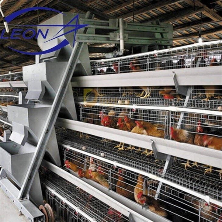 Broiler Cage System Broiler Cage System