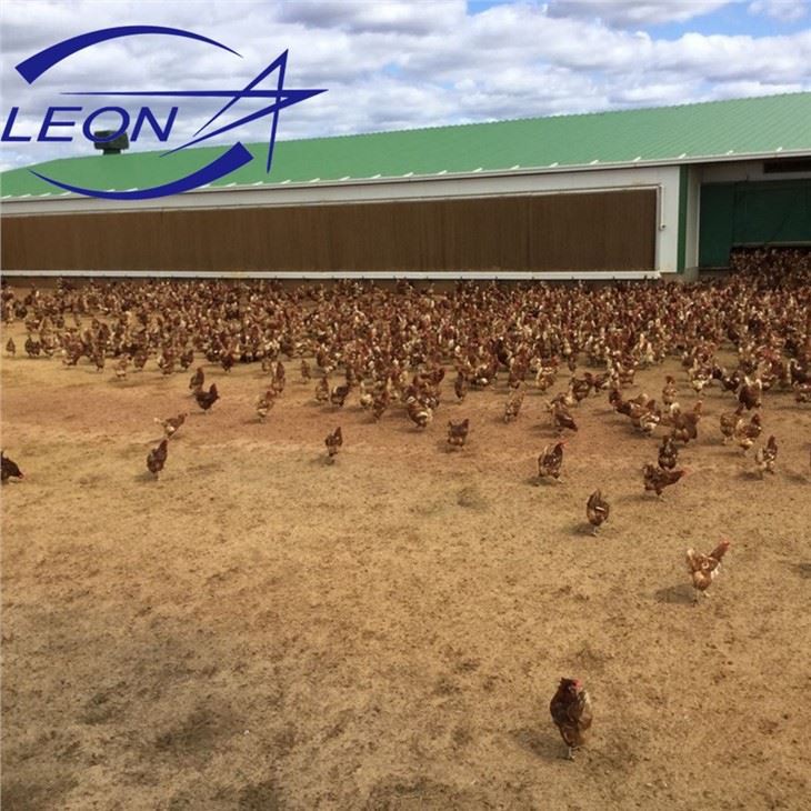 The Latest Cooling Pad For Chicken Farms