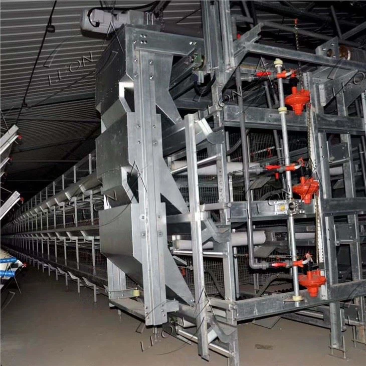 Broiler Chicken Cage Automatic Battery Cage Poultry Farm
