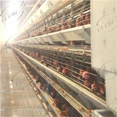 Chicken Layer Cage Kasutatakse Poultry Fram