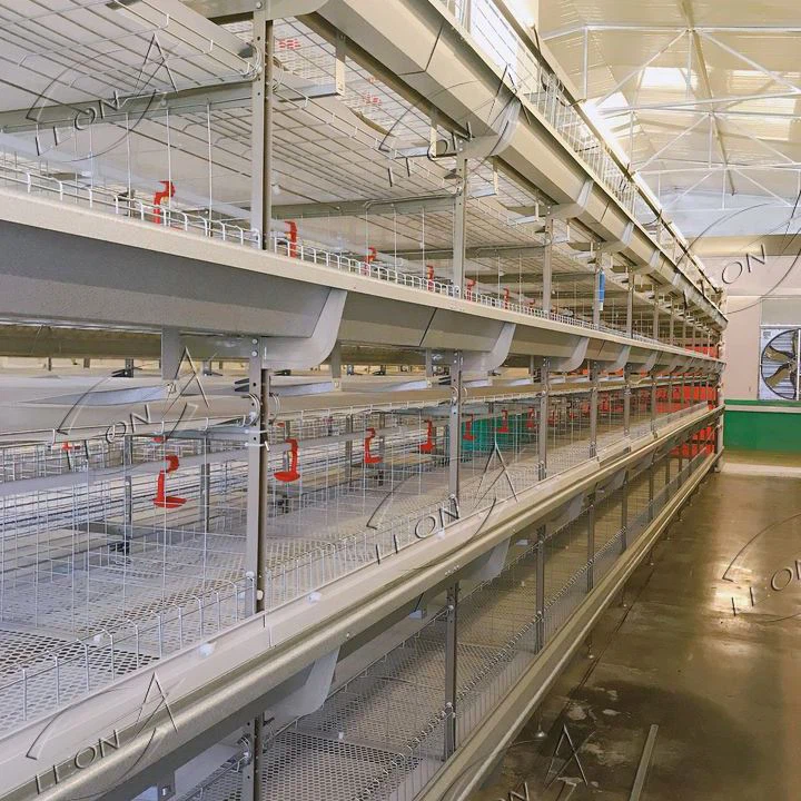 H Type Chicken Cage For Broiler House