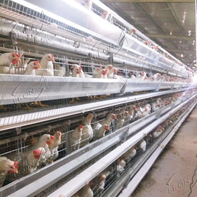 A Type Layer Cage System A Type Layer Cage System