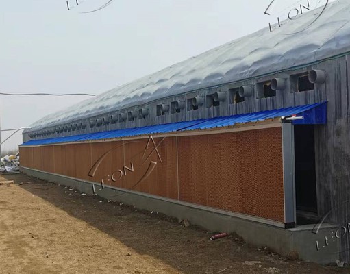 cooling pad for chicken farms1 cooling pad for chicken farms1
