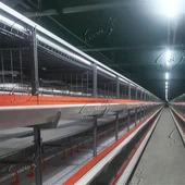 Automaatne broileri puurisüsteem